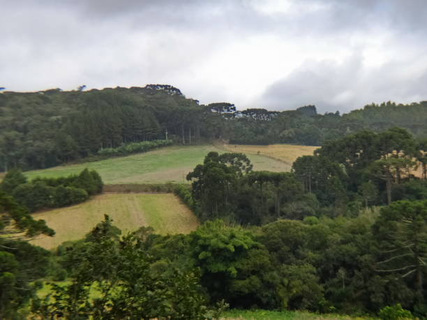 istock Santa Catarina landscapes 1314108776