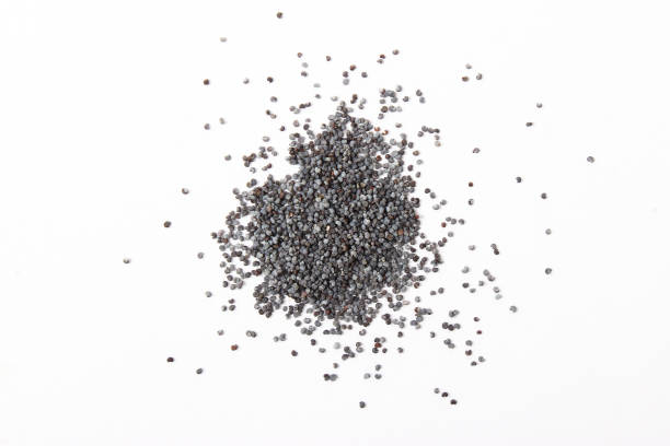 istock poppy seeds isolated on white 1314112757