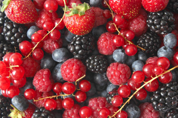 istock Background from a set of different berries. 1314114379