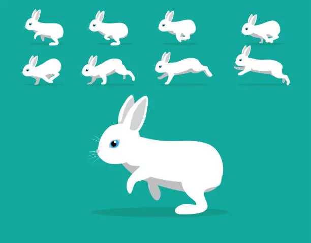 Vector illustration of Animal Animation Sequence Rabbit Polish Cartoon Vector