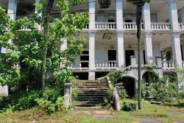 istock Ruined three-story building behind the trees 1314120782