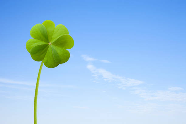 istock Four leaf clover in the blue sky 1314126347