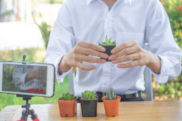istock Man live streaming on smartphone 1314129165