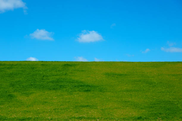 istock Newly built dike with freshly laid lawn 1314135609
