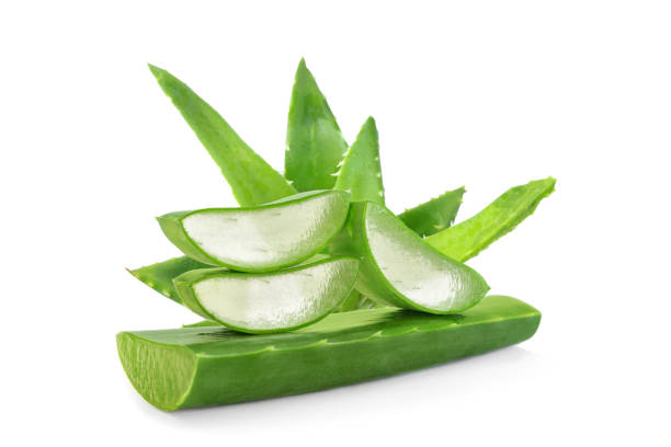 aloe vera orgánico hoja fresca aislada - áloe fotografías e imágenes de stock