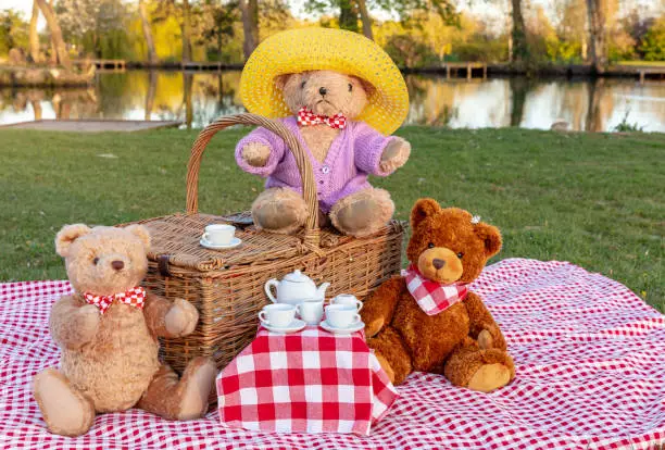 Teddy Bear's picnic beside  a lakeside setting.  Three teddy bears having tea on a red and white gingham table cloth with traditional wicker picnic basket and white tea cups.  Horizontal.  Copyspace.