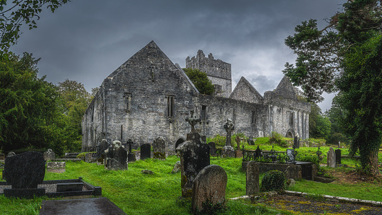 Killarney, Ireland, August 2019 Graveyard and tombs with Celtic crosses in front of old ruins of Muckross Abbey with dramatic storm sky, Killarney National Park, Kerry