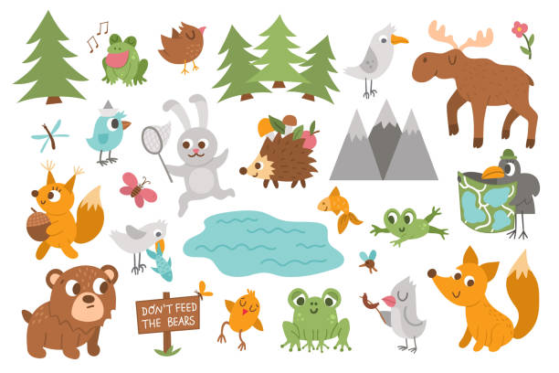 вектор лесных животных, насекомых и птиц множество. забавная коллекция икон лесного костра. симпатичные лесные иллюстрации для детей с гор� - 4595 stock illustrations