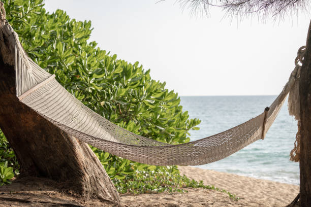 istock Hammock swing between trees on a tropical island with beautiful beach. 1314143688