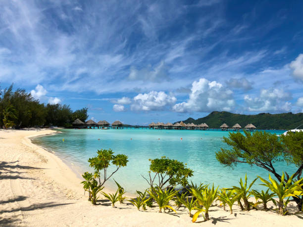 istock Beautiful beach on Bora Bora island in French Polynesia. 1314143803