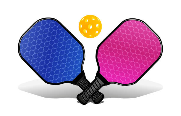 Pickleball with a ball and a rackets for playing. Vector illustration Pickleball with a ball and a rackets for playing. Vector illustration on white background pickleball stock illustrations