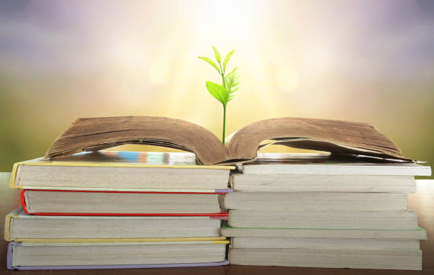 World philosophy day education concept: tree of knowledge planting on opening old big book in library with textbook  in natural background stock photo