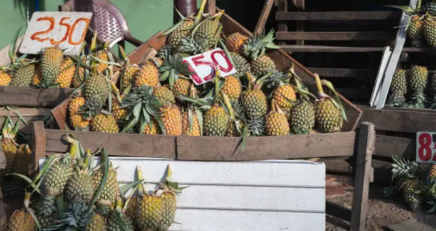Photo of Small business in the streets, fresh pineapple stands and discounted prices.