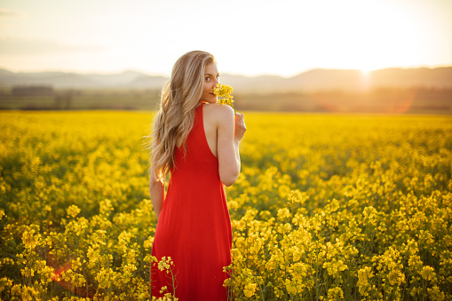 Beautiful young woman wearing bright red dress in yellow canola plant field. The field is spacious and the sun is showing in the background above the nearby hill. Enjoying and celebrating freedom, happiness and positive thoughts and life.