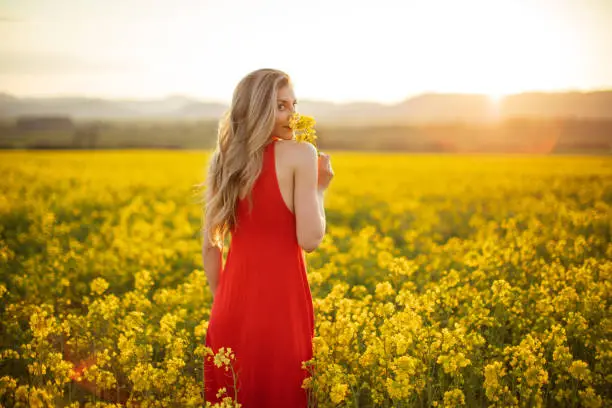 Beautiful young woman wearing bright red dress in yellow canola plant field. The field is spacious and the sun is showing in the background above the nearby hill. Enjoying and celebrating freedom, happiness and positive thoughts and life.