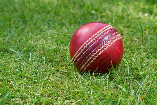 Close-up photograph of a red leather cricket ball on green grass.