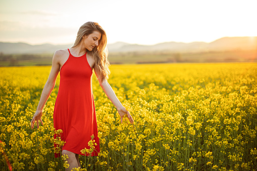 Hermosa joven con vestido rojo en prado de flores amarillas al atardecer photo