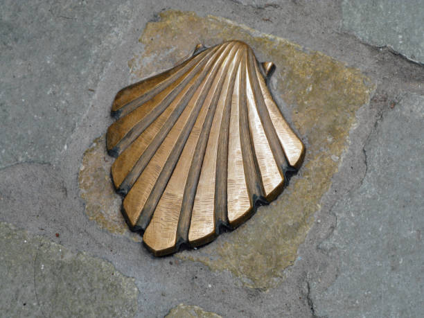 High angle shot of St James's shell on a wall in Leon, Spain