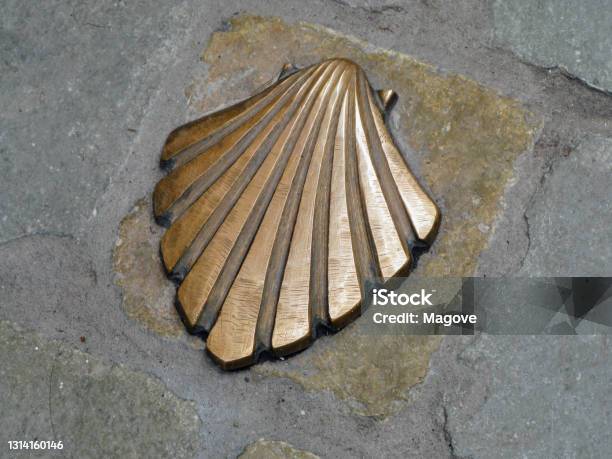 High Angle Shot Of St Jamess Shell On A Wall In Leon Spain Stock Photo - Download Image Now