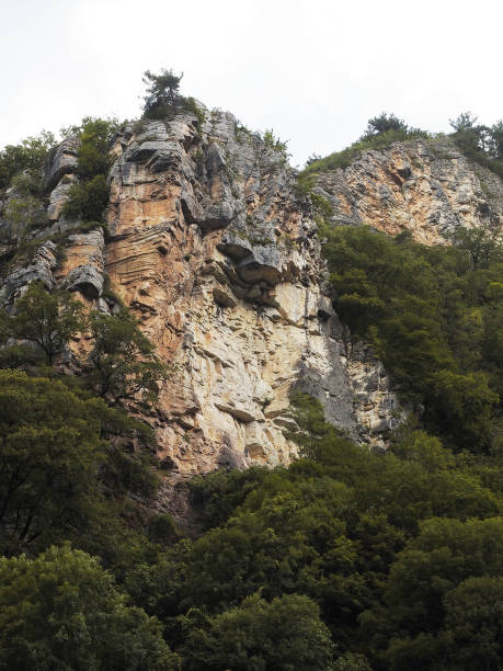 istock Steep sheer cliffs surrounded by a green grove with a cloudy sky behind 1314162395