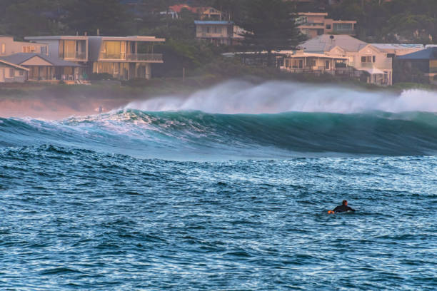 Summertime surfs up - early mornings at the beach Summer sunrise seascape in Avoca Beach on the Central Coast, NSW, Australia. avoca beach photos stock pictures, royalty-free photos & images