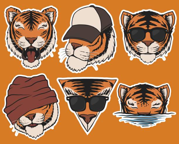 illustrations, cliparts, dessins animés et icônes de illustration vectorielle d’autocollants de tête de tigre de mode - big cat fun cute yellow