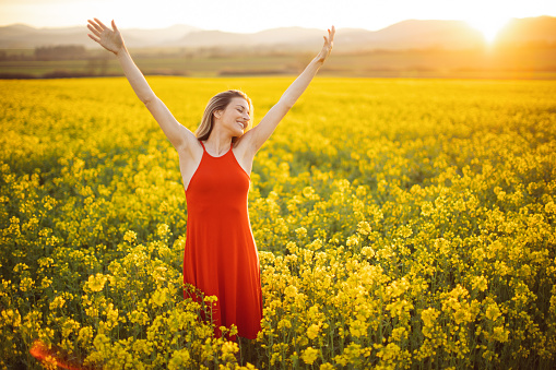 Beautiful young woman wearing bright red dress in yellow canola plant field. The field is spacious and the sun is showing in the background above the nearby hill. She is smiling and raising arms to the sky. Enjoying and celebrating freedom, happiness and positive thoughts and life.