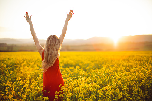Beautiful young woman wearing bright red dress in yellow canola plant field. The field is spacious and the sun is showing in the background above the nearby hill. She is smiling and raising arms to the sky. Enjoying and celebrating freedom, happiness and positive thoughts and life.