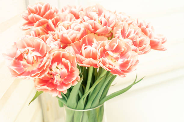 istock beautiful tulips in vase on white windowsill 1314174299