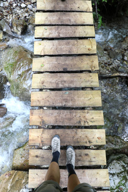 istock dizzying boardwalk for wading the river and the intrepid hiker walking 1314175381