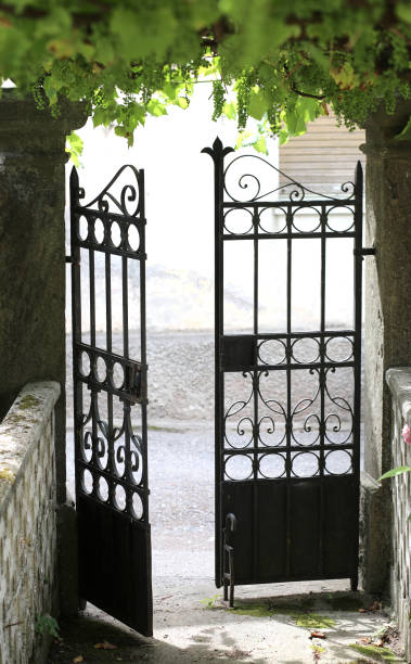 istock iron gate at the exit of the courtyard of an old house 1314175842