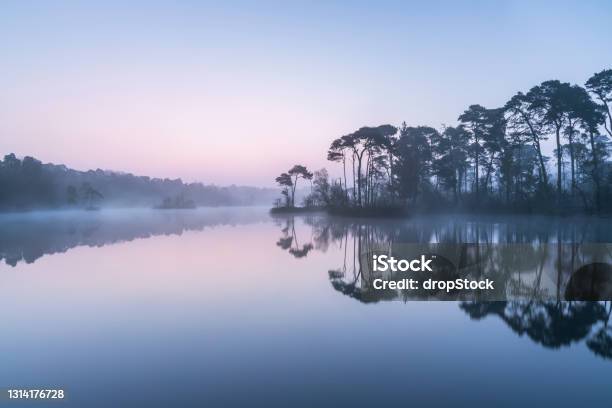 Ruhiger Nebellicher Sonnenaufgang Über Einem See Niederländische Landschaft Blaue Stunde Stockfoto und mehr Bilder von Natur