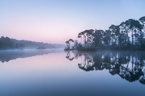 tranquilo amanecer brumoso sobre un lago, paisaje holandés hora azul photo