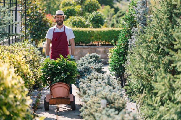 istock Young man working in the garden 1314177889