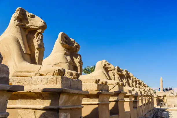 Photo of Avenue of the ram-headed Sphinxes in a Karnak Temple. Luxor, Egypt