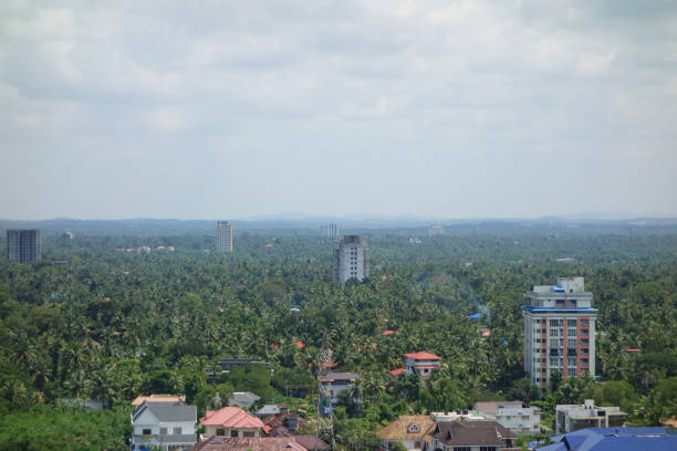 istock Aerial view of Kochi 1314184779