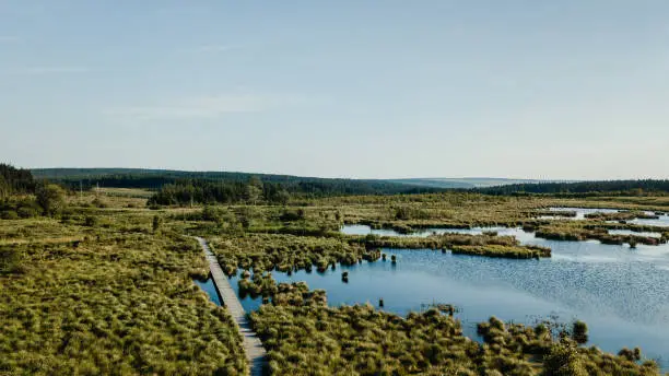 drone shot of wooden boardwalk trough moor landscape. lake and waterplants.