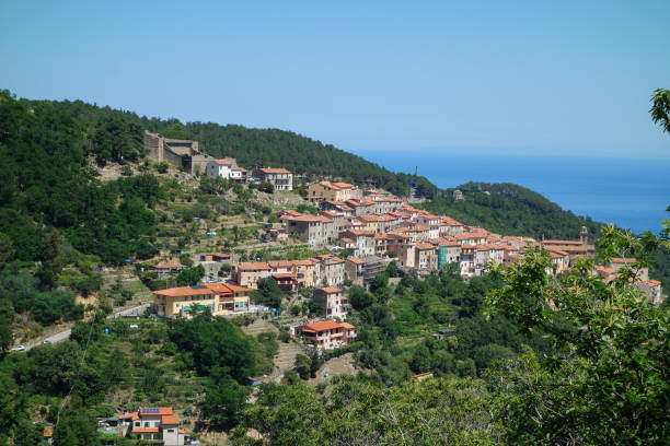 istock Aerial view of Marciana 1314184864