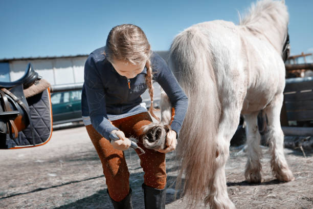 ragazza con il suo cavallino - horse child pony little girls foto e immagini stock