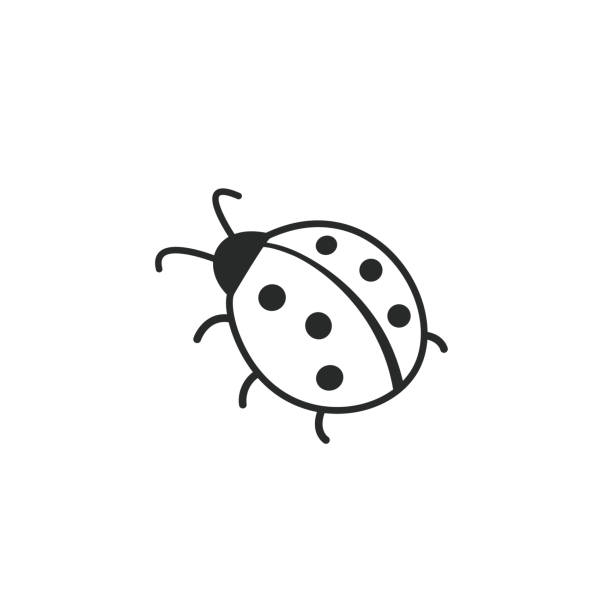 ilustraciones, imágenes clip art, dibujos animados e iconos de stock de lindo ladybug o ladybird contorno - mariquita