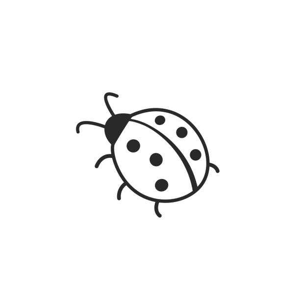 귀여운 무당벌레 또는 무당 벌레 개요 - fly line art insect drawing stock illustrations