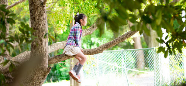 istock Girl to a tree climbing 1314188868