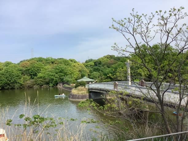 istock Scenery of Biwagaike in Odaka Greenery Park 1314189016