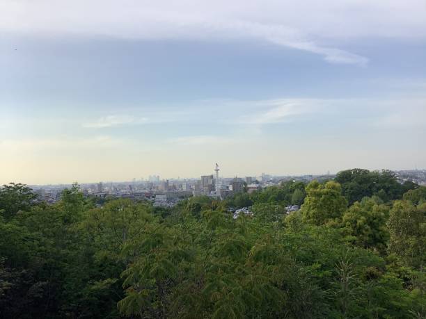 istock observation deck of Odaka Greenery Park 1314190002