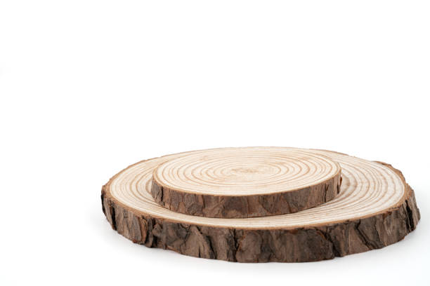 istock Wood slice with Annual Ring Pattern on a white background, circle, round. 1314190257