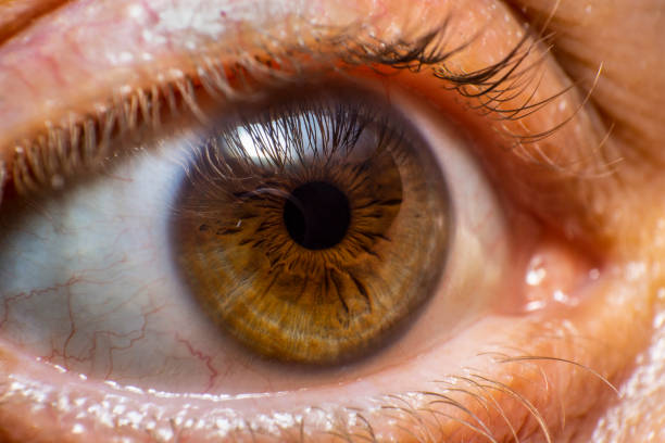 istock Macrophotography of an human eye 1314192472
