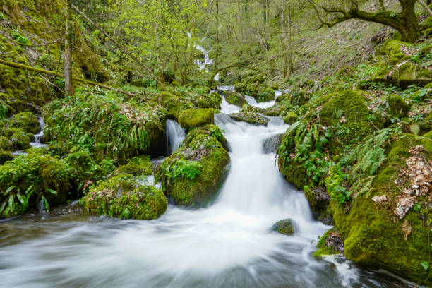 imagen de larga exposición de hermosa corriente de agua corriendo a través de cascadas de rocas y piedras. - flowing water stream moss river fotografías e imágenes de stock