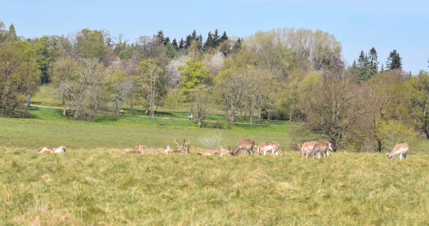 istock Shropshire's stunning Countryside looking glorious on a warm spring day 1314193559
