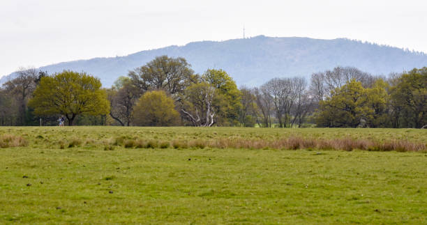 istock Shropshire's stunning Countryside looking glorious on a warm spring day 1314193587