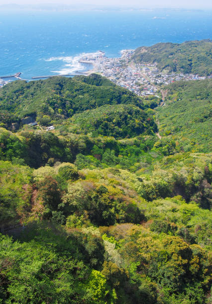istock Port town and spring mountains(Futtsu,Chiba,Japan) 1314193880
